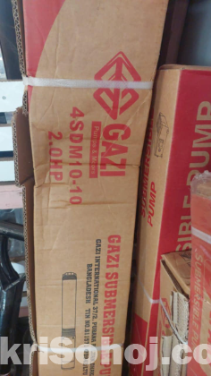 সাবমারসিবল পাম্প